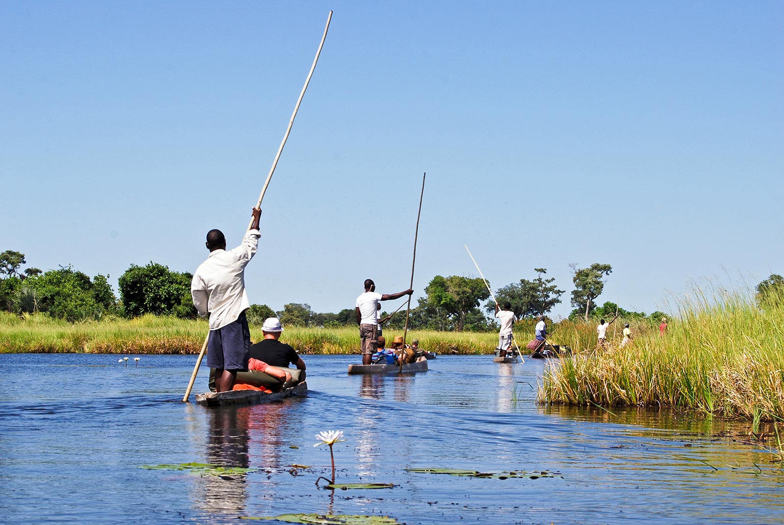 travel botswana