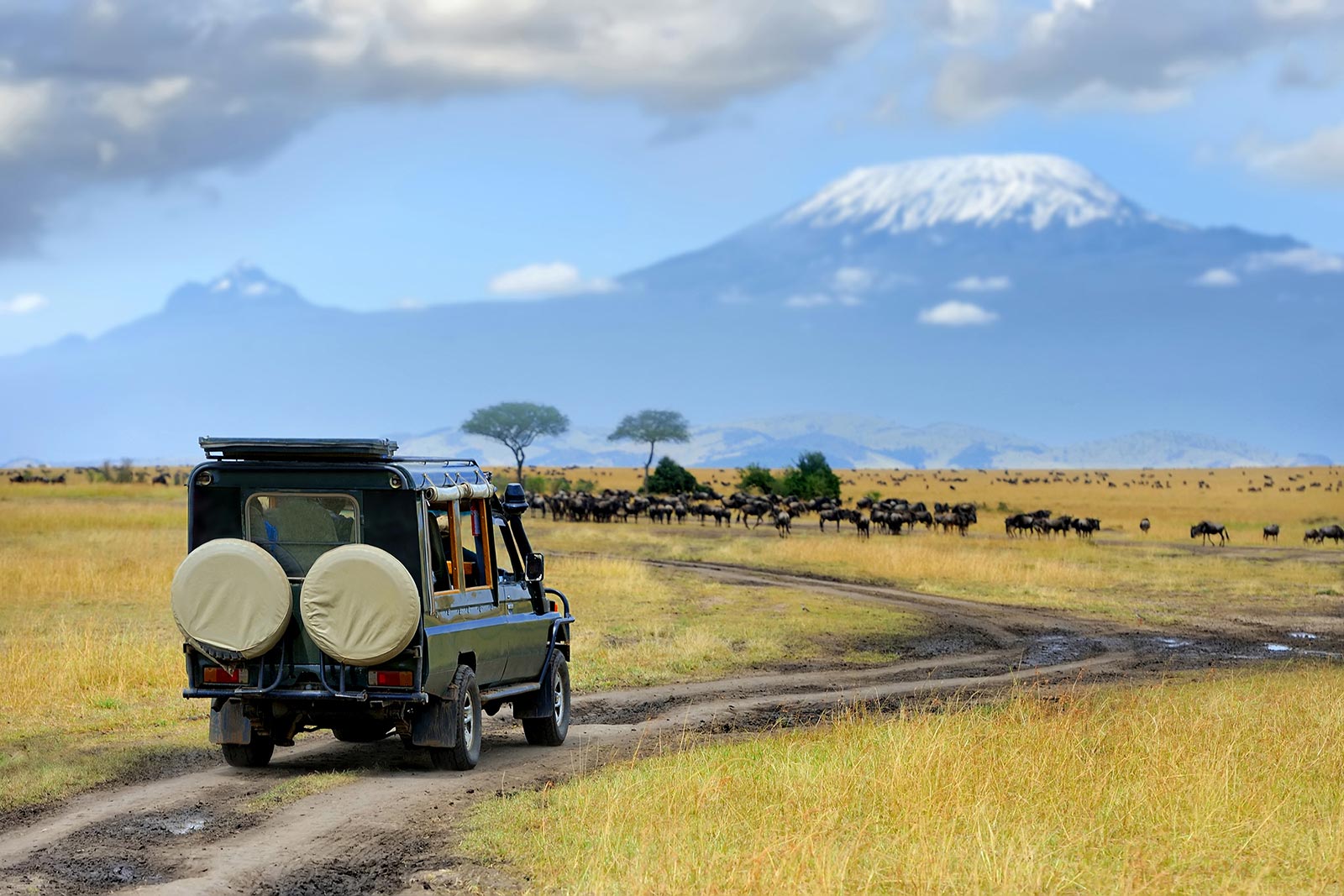travel kenya