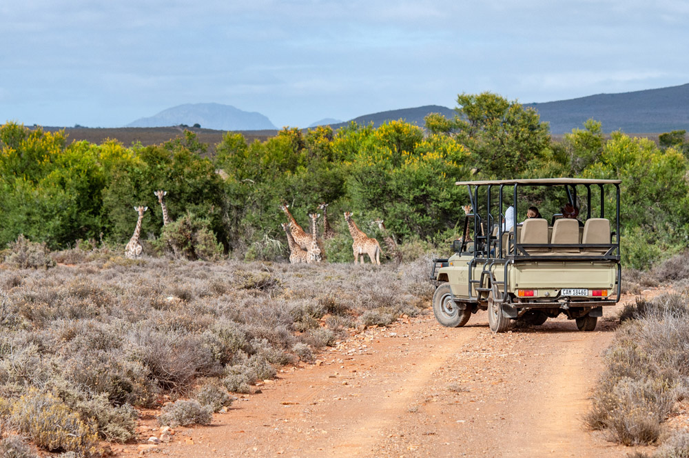Mont Eco Game Reserve